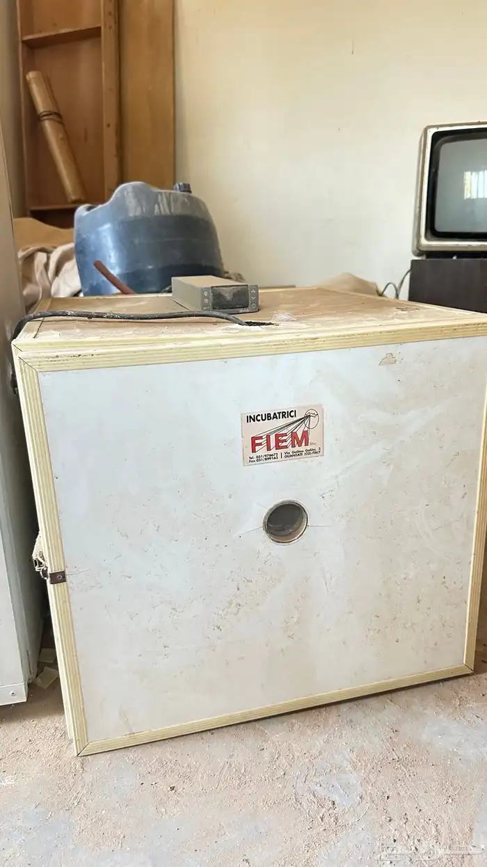 فقاستين للبيع 5