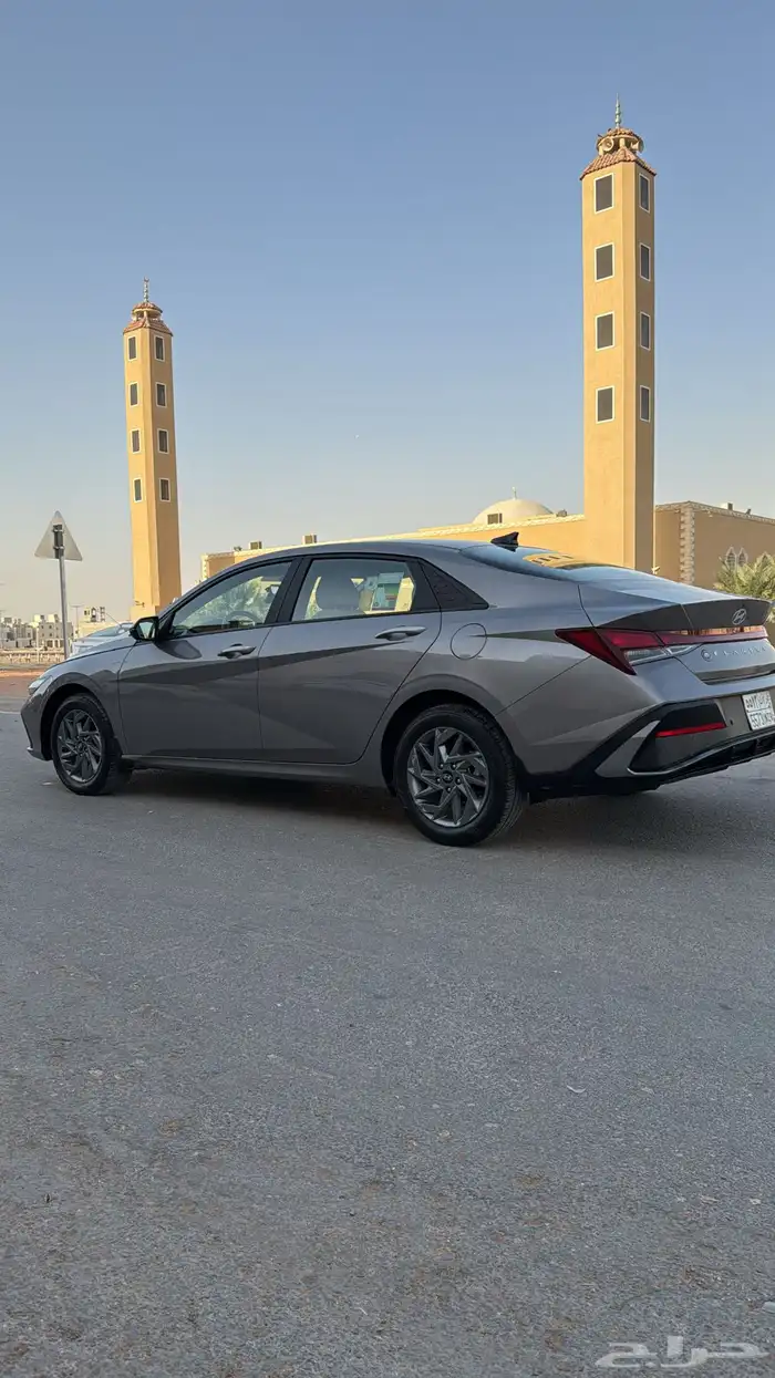 التنزا 2024 5