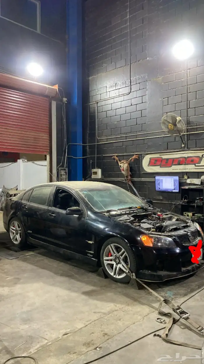 لومينا 2011 ss اصل 1