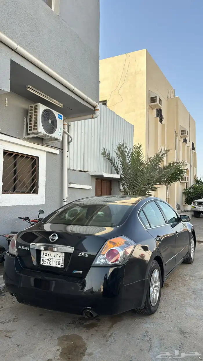 التيما 2011 2