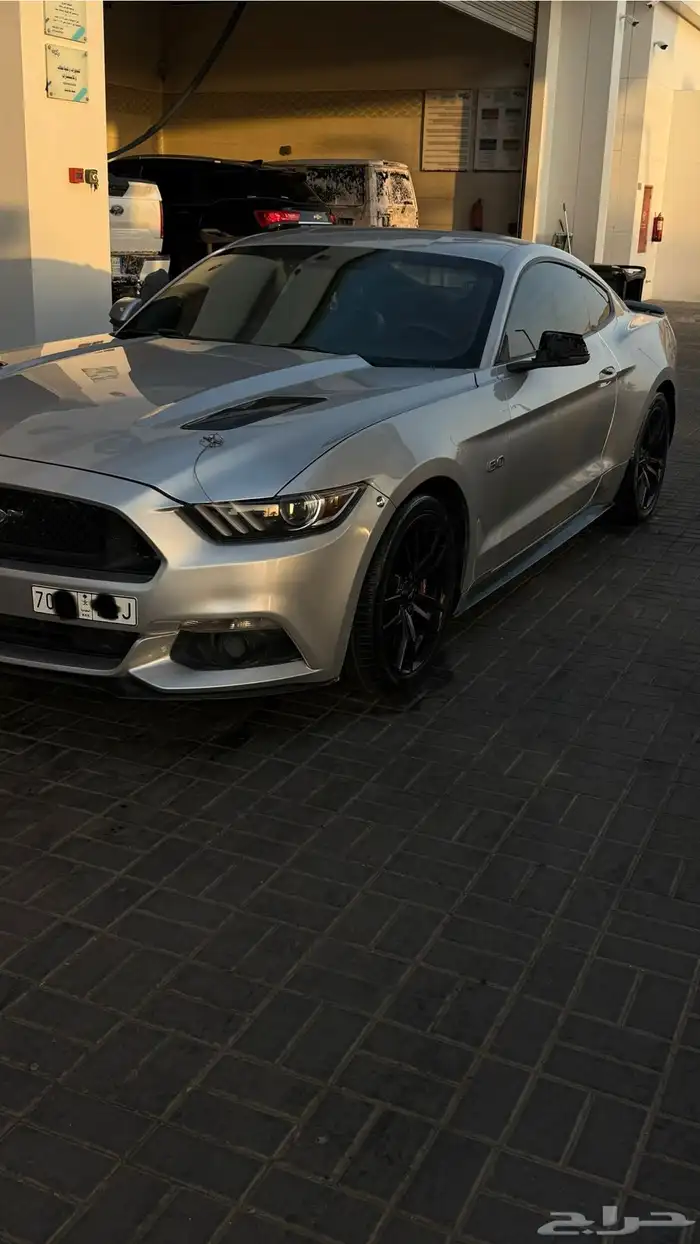 موستنج 2015 gt 10