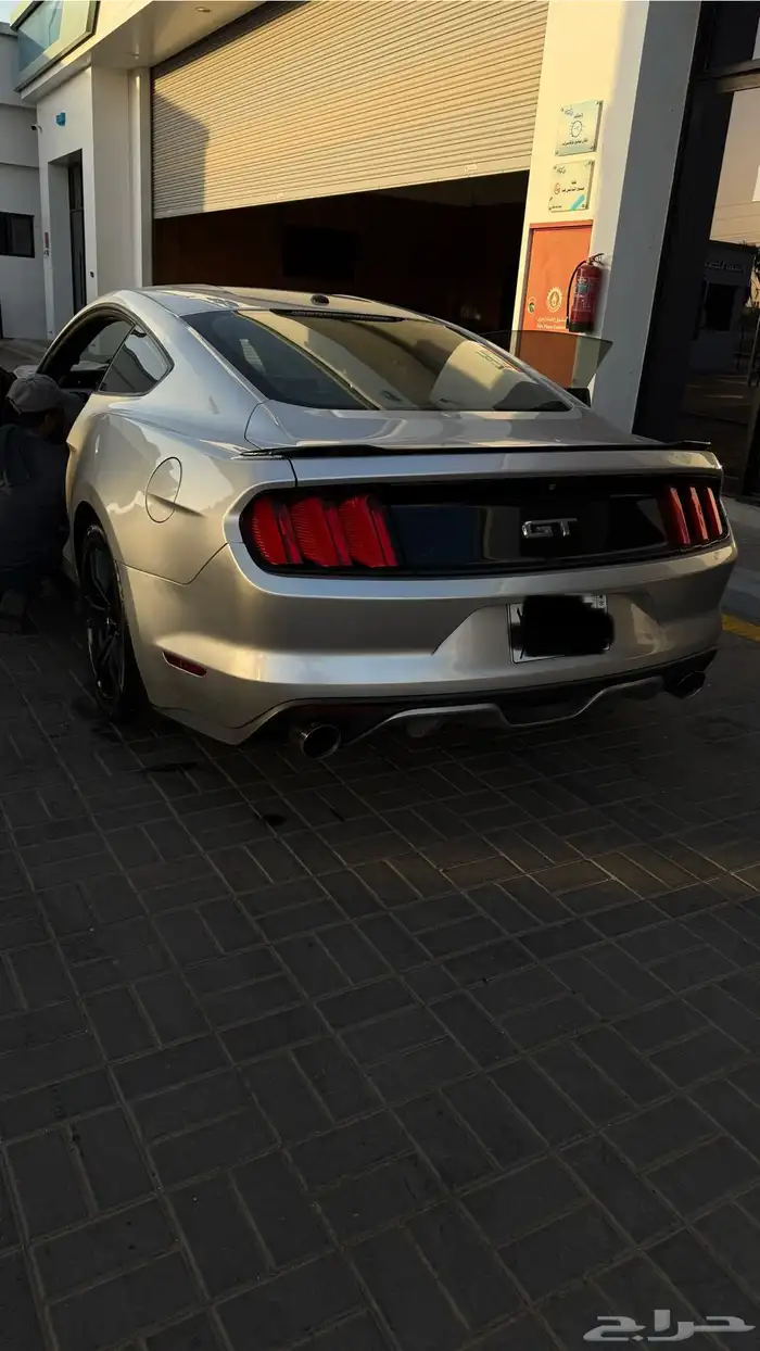 موستنج 2015 gt 11