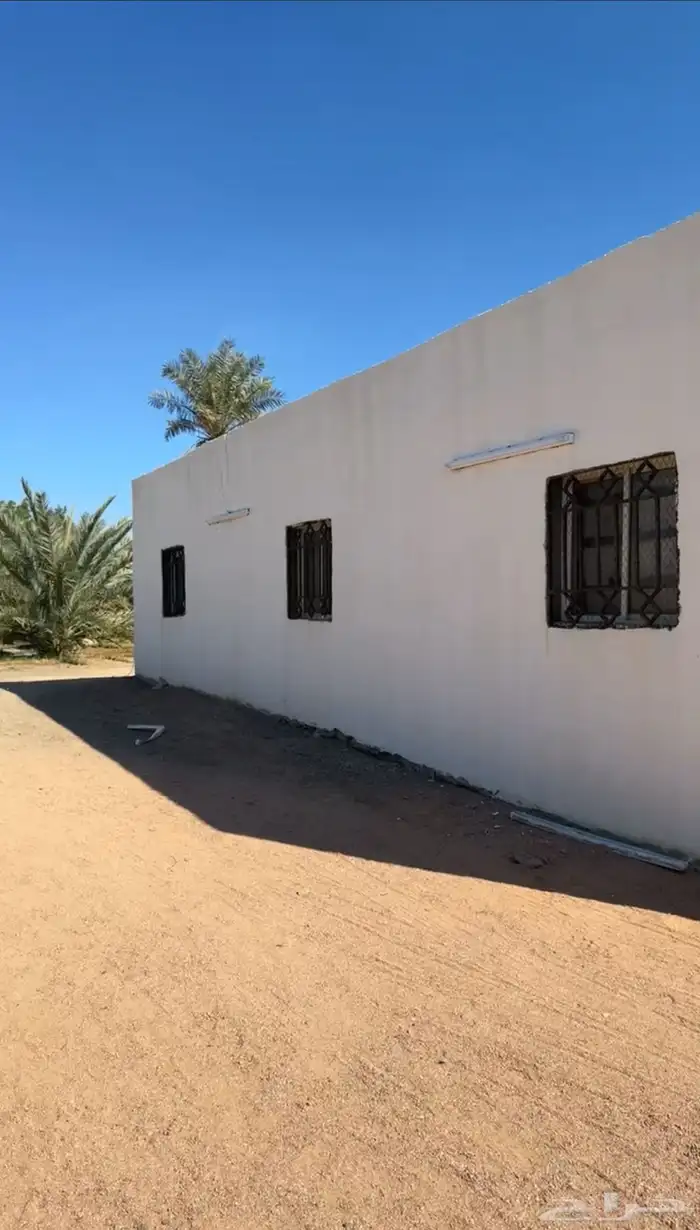 للإيجار مستودع واستراحة طريق الهجرة مباشرة قرب محطة الفريدي 1