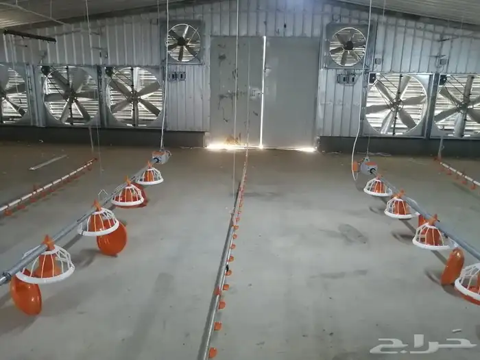 موسسه مقاولات لأنشاء حضائر الدواجن واللوحات الكهربائيه 19