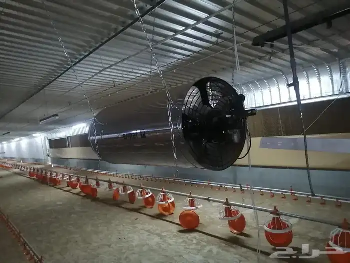 موسسه مقاولات لأنشاء حضائر الدواجن واللوحات الكهربائيه 14