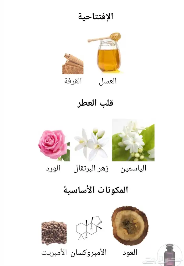 فلور دو ديزرت LV 4