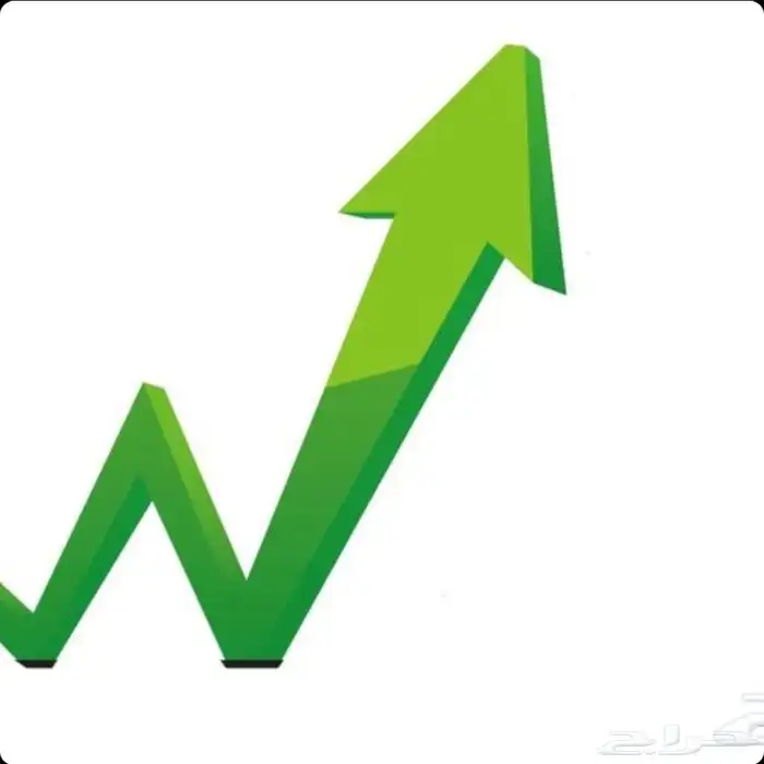 بيع اسهم في جمعية تعاونية سياحية 0