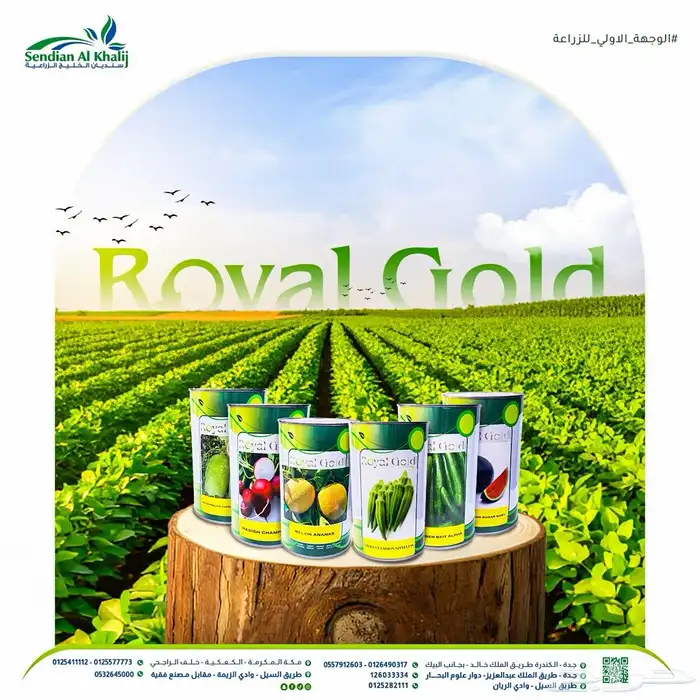 مصمم جرافيك 1