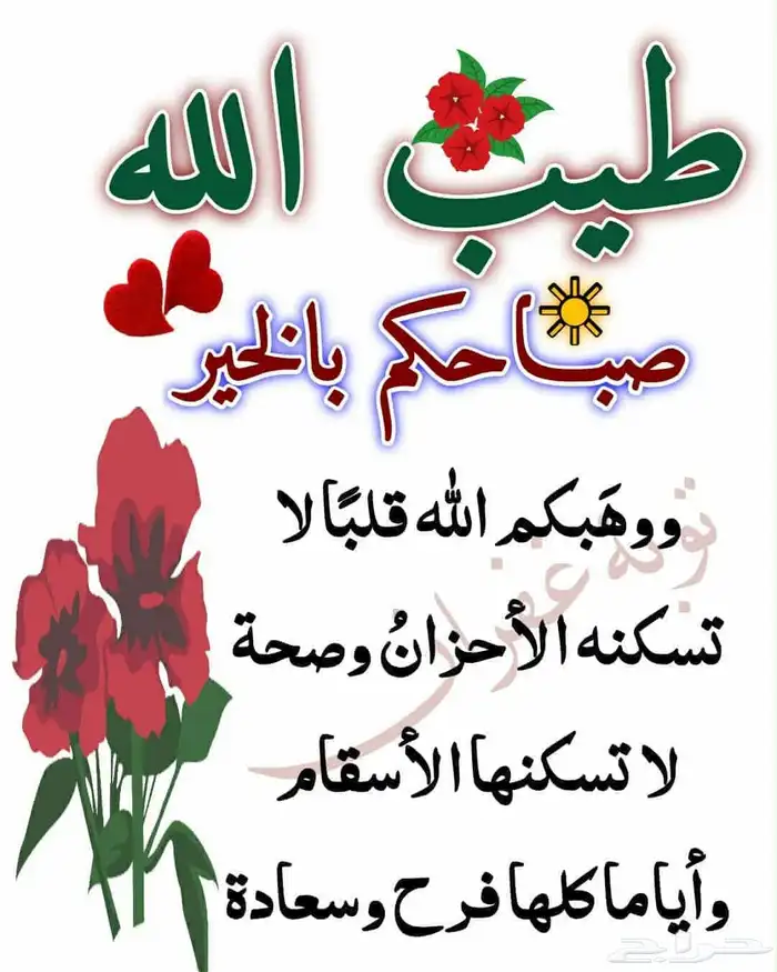 يوجد عدد اثنين خيام جديده الموقع محافظة رفحاء 0