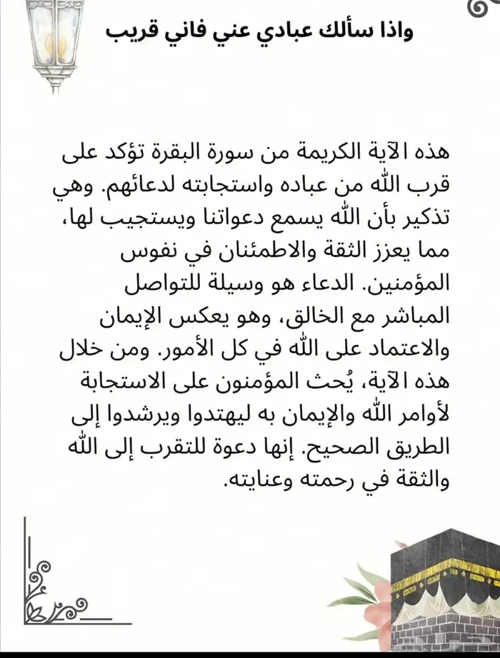 الي يبغى يارس او كوريلا مستعملة واقتصادية 3