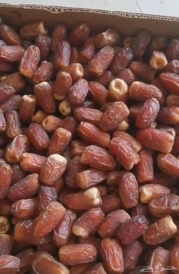 تمر صقعي 0