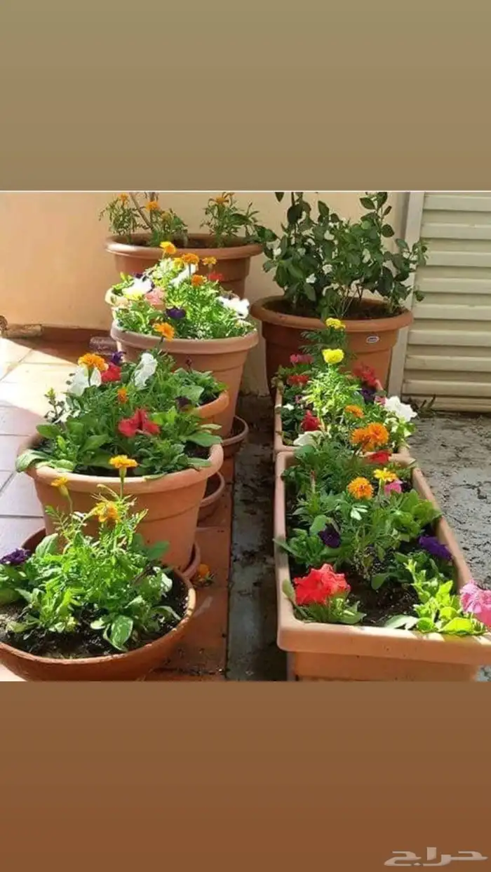 استمتع بأجمل الحدائق والشلالات في جده ومكه مع  م..اب 0