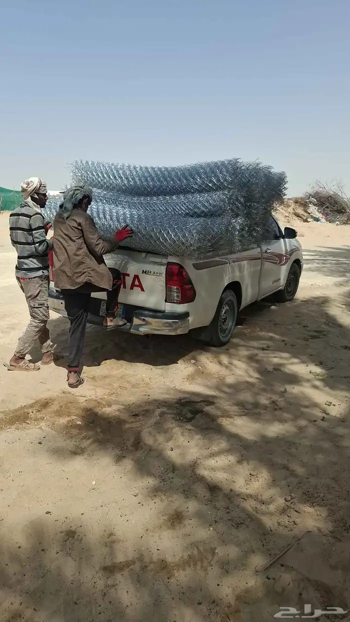 نخل وشبوكات 2