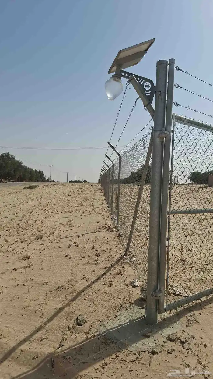 نخل وشبوكات 1