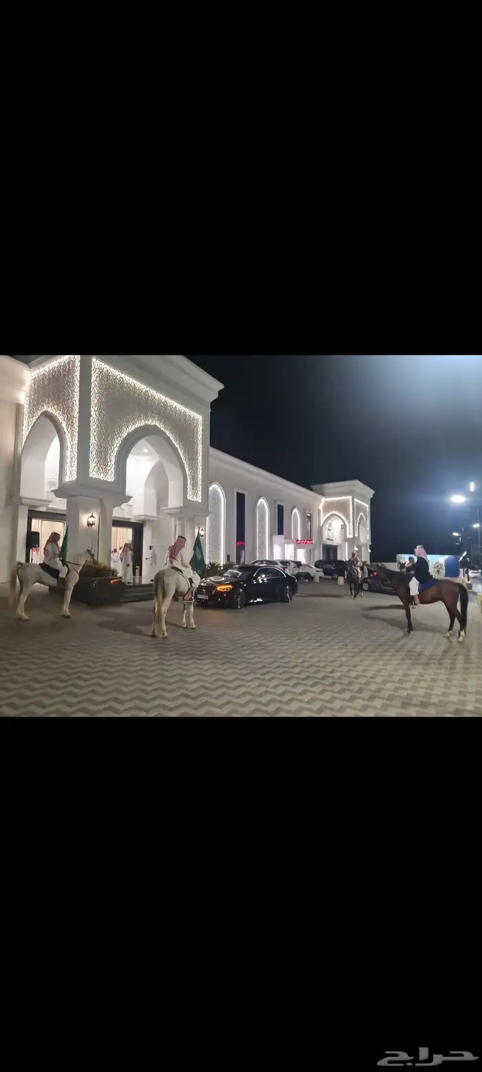 عرض خيل مع زفة عرسان مشاركه في المهرجانات بالخيل 0
