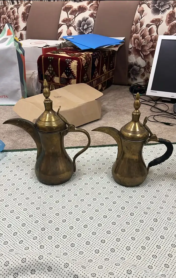 دلتين رسلان 0