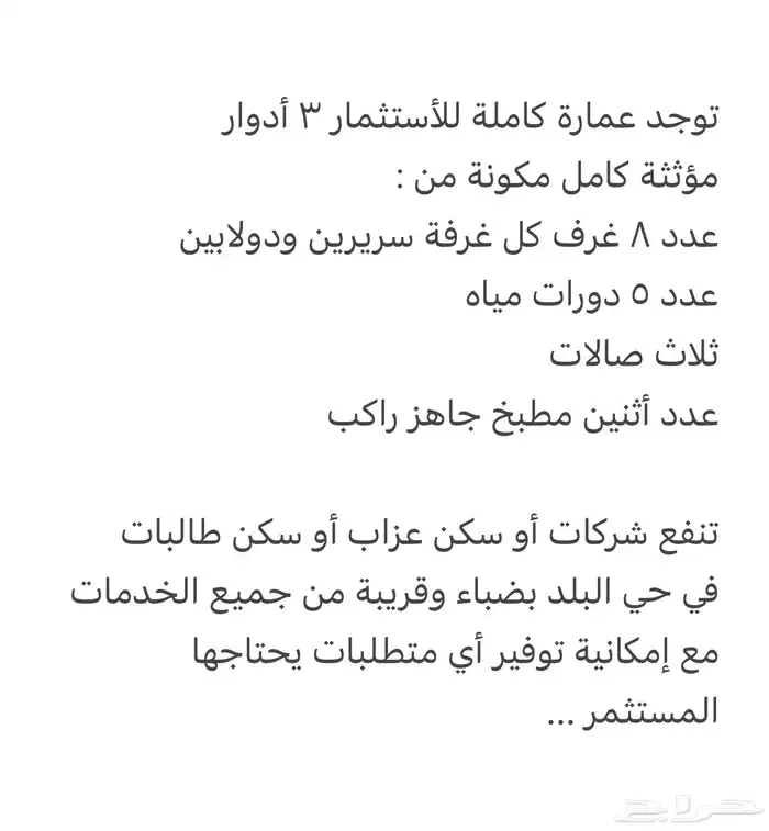 ضباء حي البلد .. التفاصيل 0