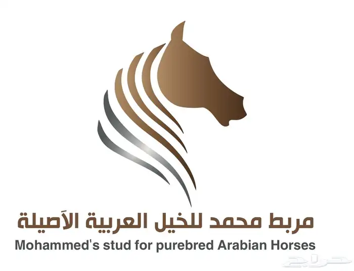 ايواء خيل 2