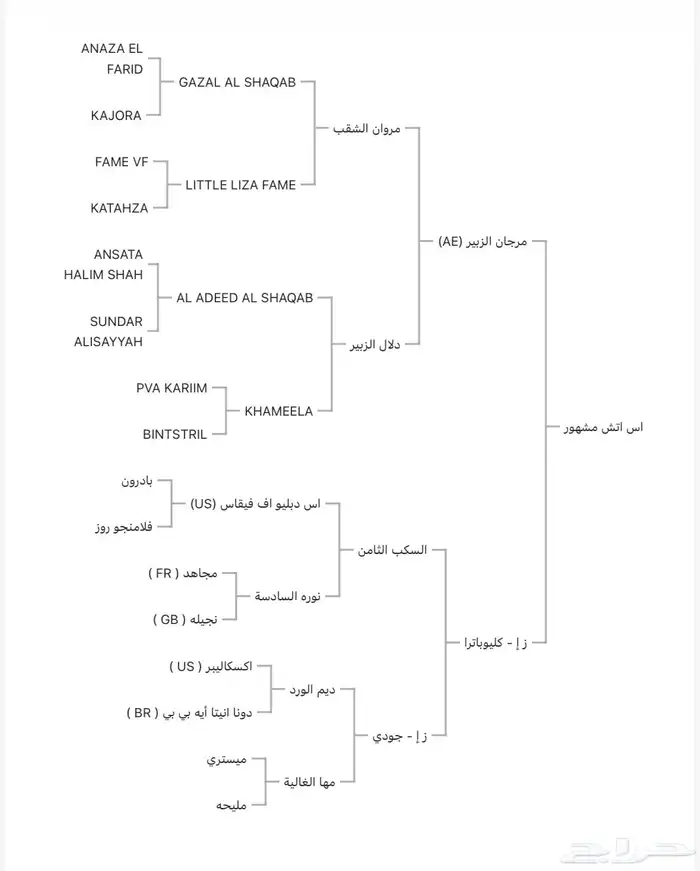 حصان متاح لتشبية 0