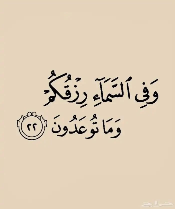 توصيل مدارس 0