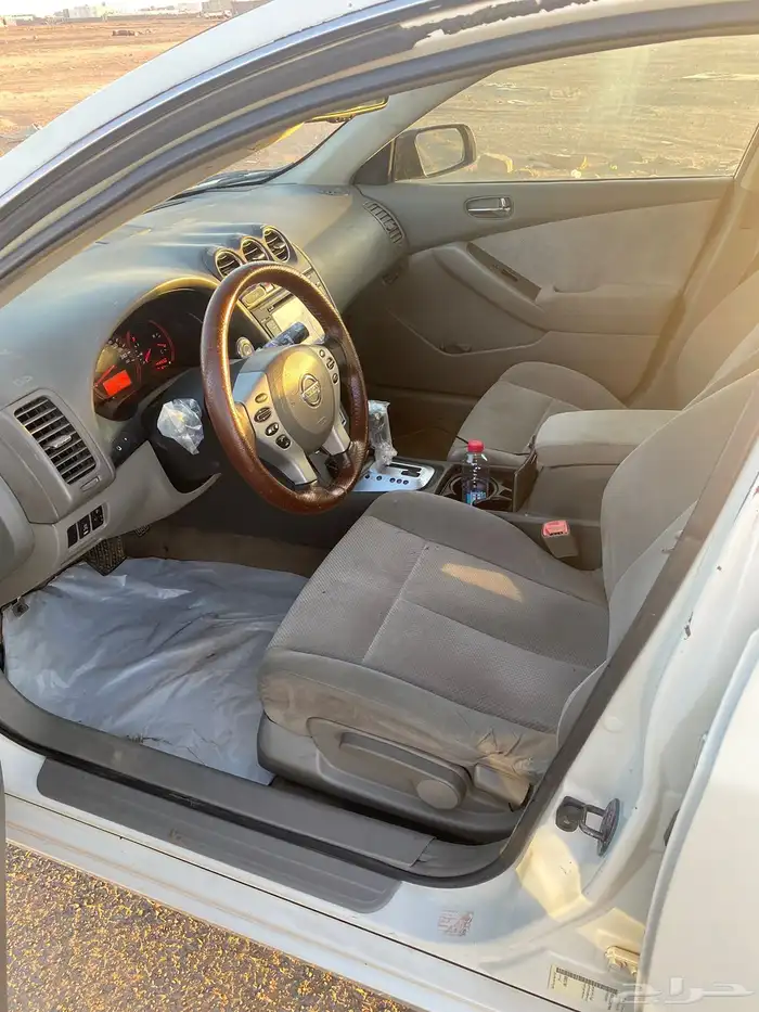 التيماء 2009 13