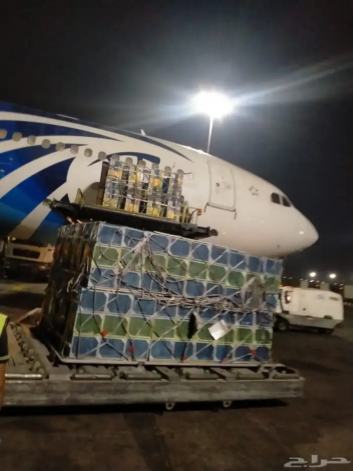 نحل مصري مرزوم 3