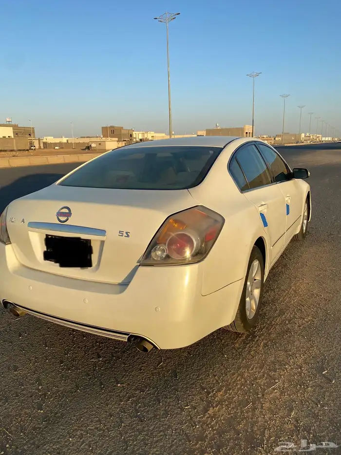 التيماء 2009 4