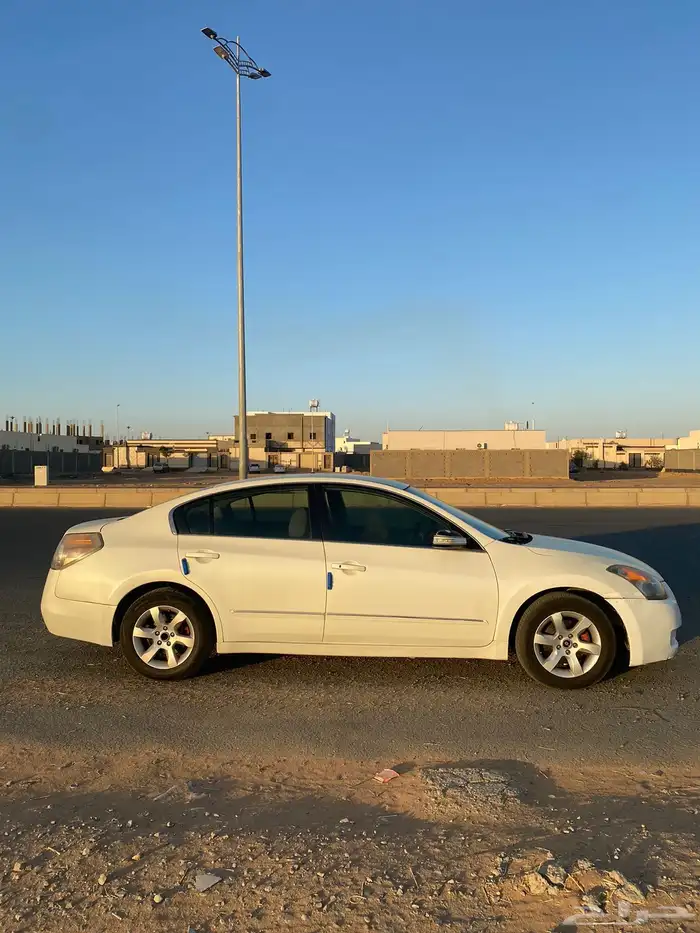 التيماء 2009 6