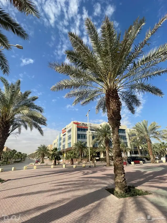 مكاتب مؤثثة ومجهزة بالكامل في الرياض للايجار 12