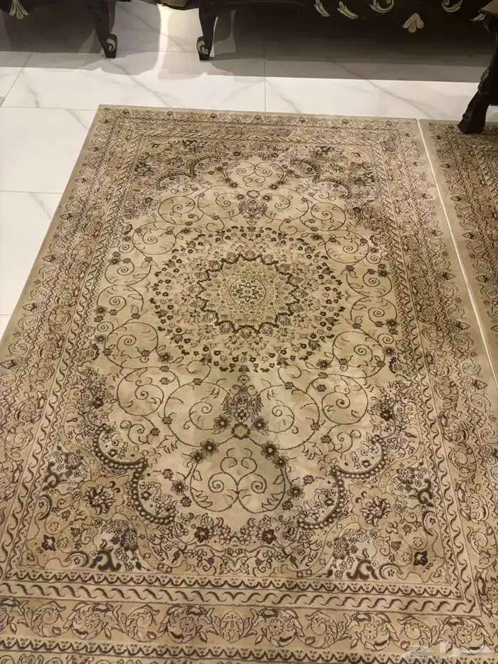 سجاد مجلس 0