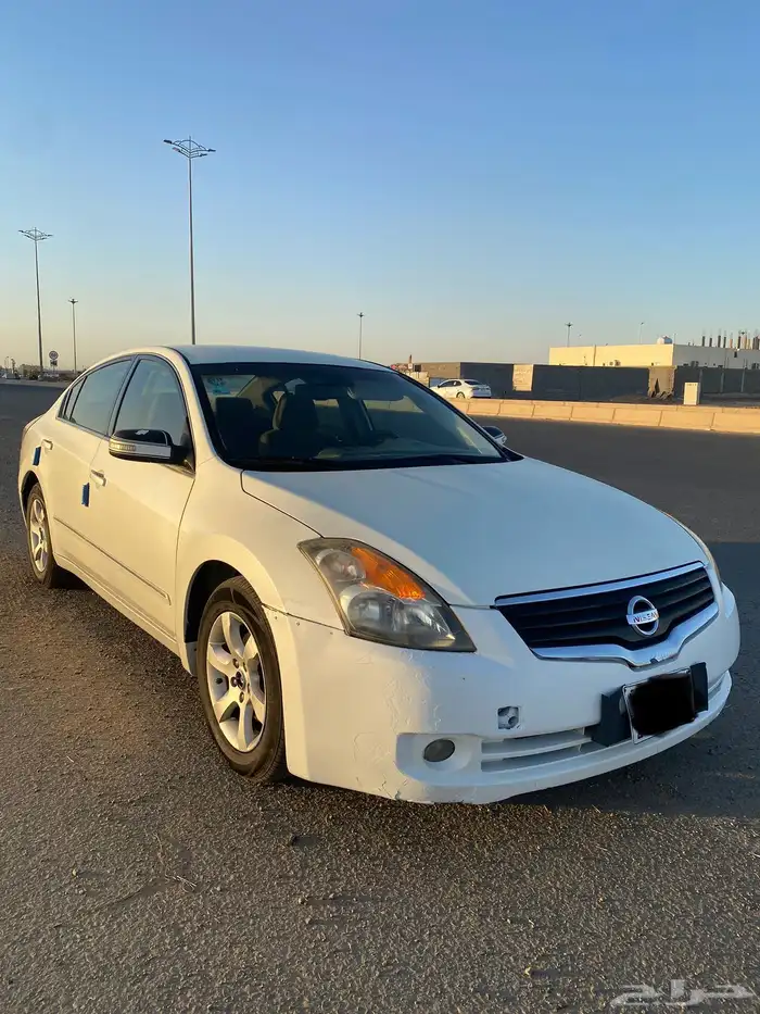 التيماء 2009 1