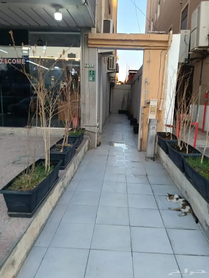 شقق مفروشة للايجار بالخبر حي الجسر 1