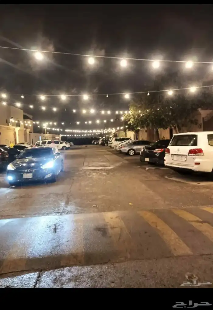 عقود لمبات افراح زينة مناسبات جميع الاشكال إيجار أو بيع 4