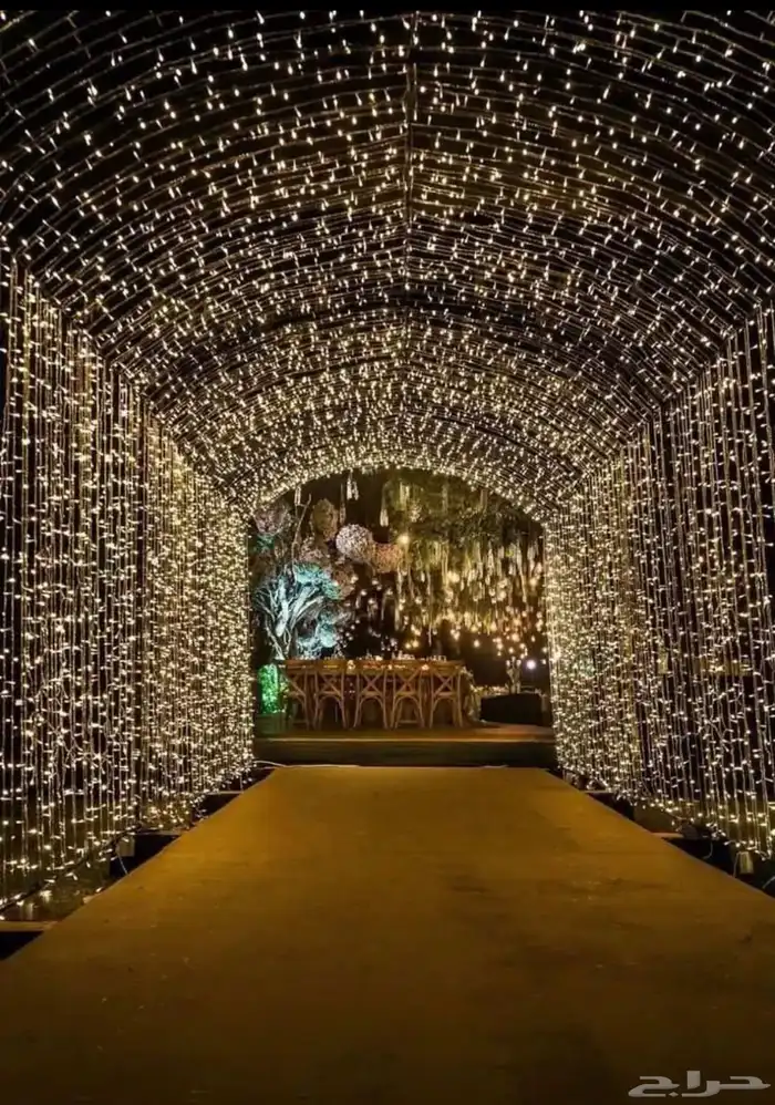 عقود لمبات افراح زينة مناسبات جميع الاشكال إيجار أو بيع 7