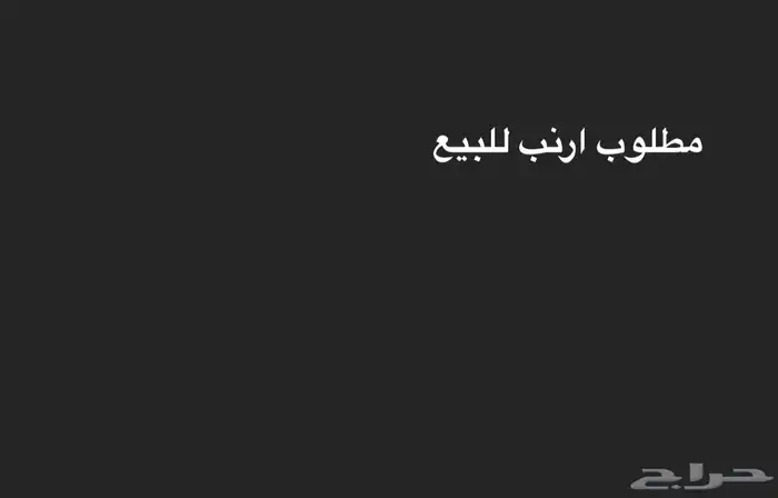 مطلوب ارانب للبيع 0