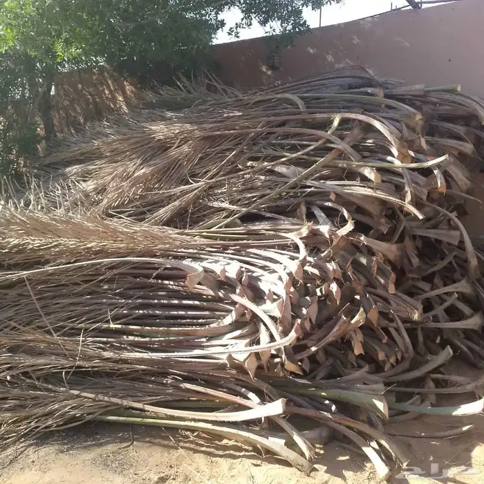 جريد البيع الموقع المزاحمية 0