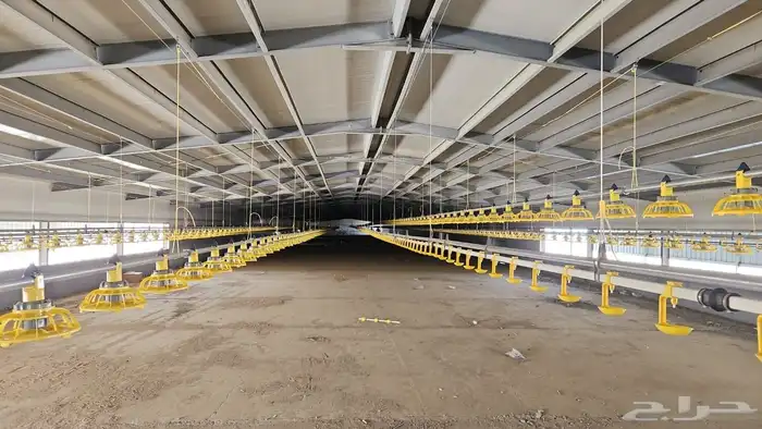 موسسه مقاولات لأنشاء حضائر الدواجن واللوحات الكهربائيه 27