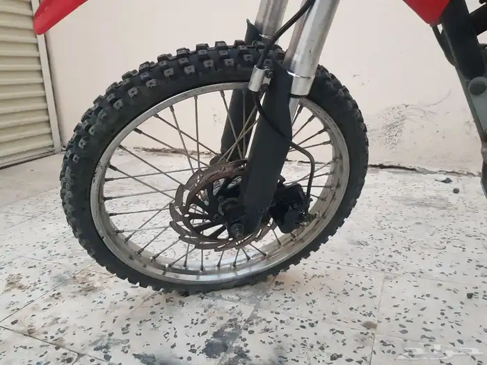 دباب صحراوي 4
