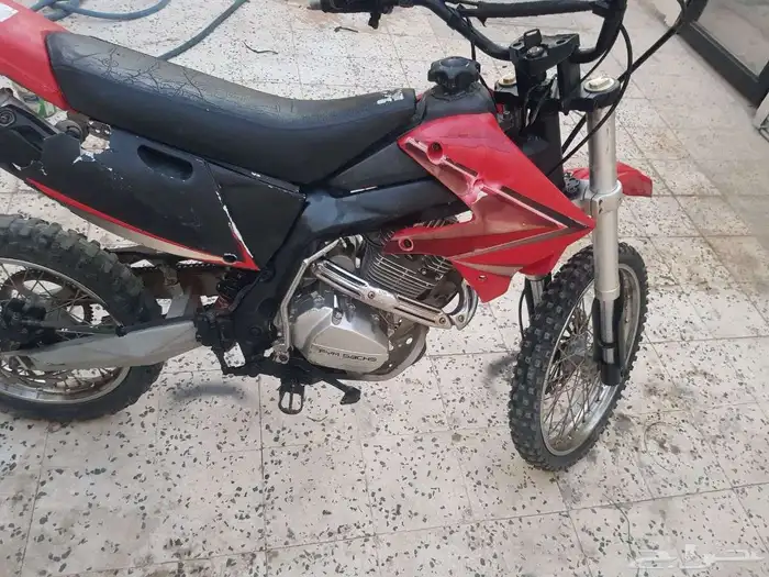 دباب صحراوي 1