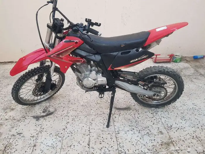دباب صحراوي 0