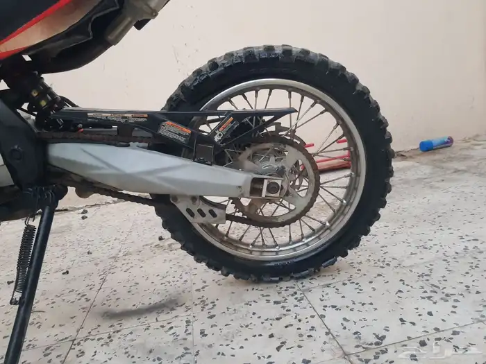 دباب صحراوي 2