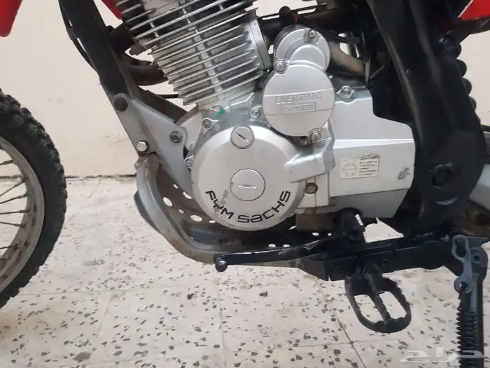 دباب صحراوي 6
