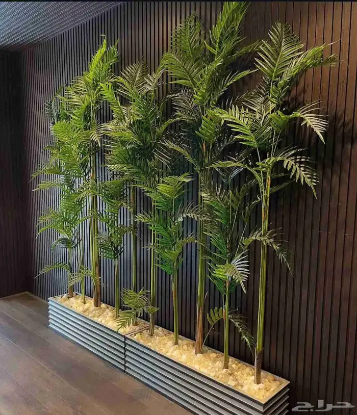 زراعة وتنسيق الحدائق كل مايخص الديكورات المنزليه 16