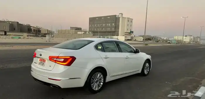 كادينزا 2014 خليجية ستاندر 4