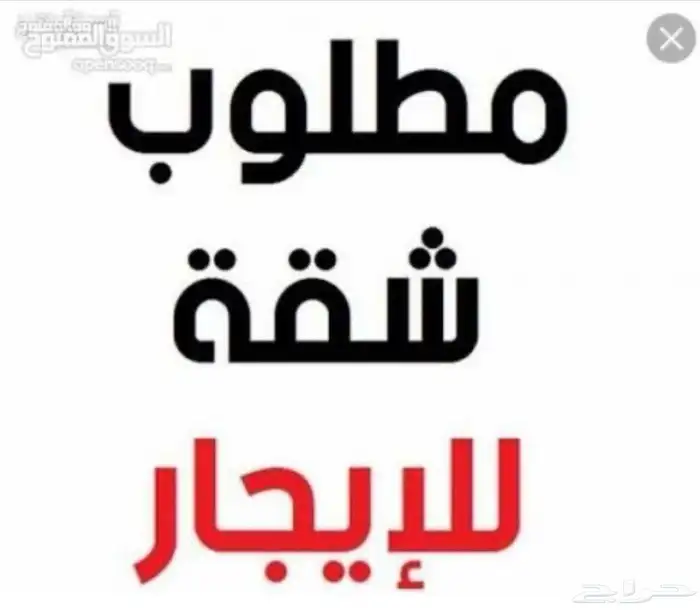 مطلوب شقه ايجار مده طويله ان شاء الله غرفتين بلاط عائله صغي 0