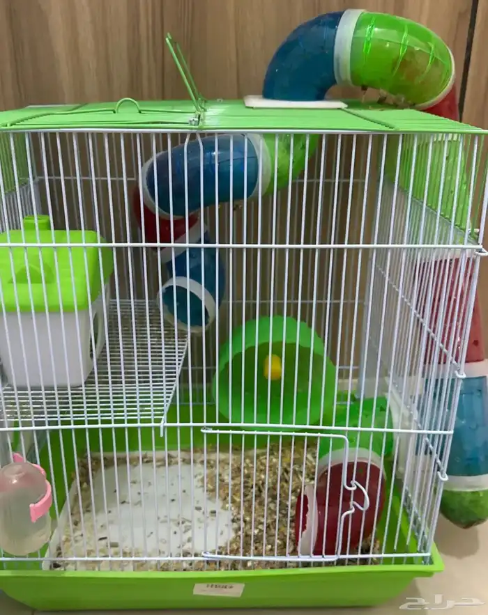 هامستر 3