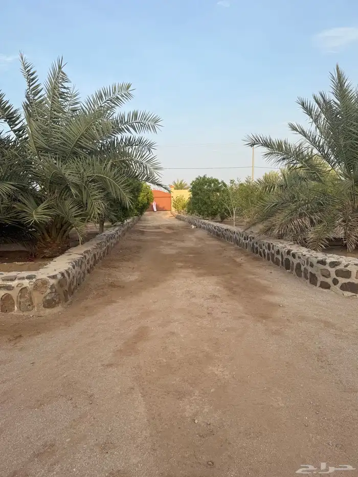 للبيع مزرعة على طريق هدى الشام مخطط الريم 1