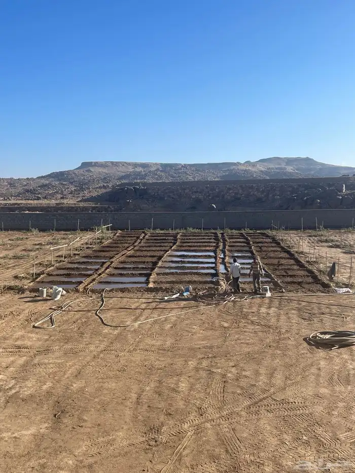 استراحة بضيافة خاصه ومزرعة في الحمرة ظهران الجنوب 57