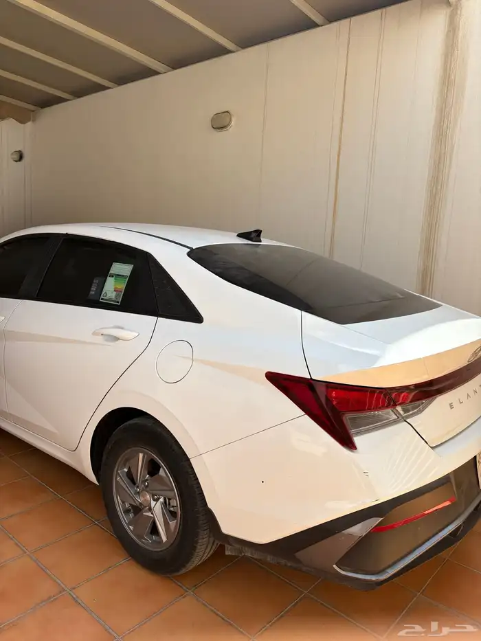 النترا 2024 1