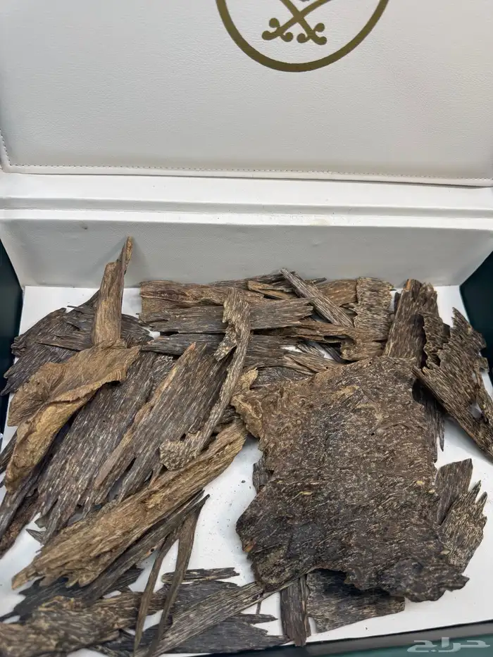 عود ماليزي قديم نوادر 6